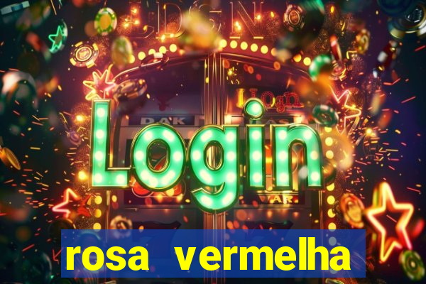 rosa vermelha (letra e cifra)